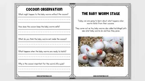 Worm Life Cycle Week Unit Plan K-2 by Crafted with Bliss by Teacher Pia