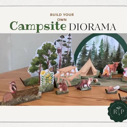 Animal Campsite Diorama Kit by Rooted Path Seasons | TPT
