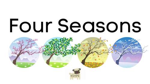 Preview of Four Seasons, Sight Word Reader, Winter/Spring/Summer/Fall Cycles, Video/Ebook