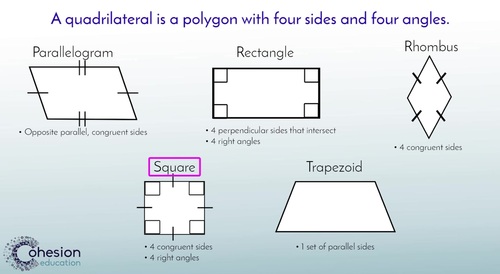 Preview of Identify & Classify Quadrilaterals by their Attributes