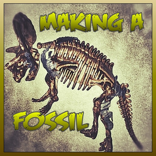 Preview of The Fossilization of Trixi Triceratops - Video Story
