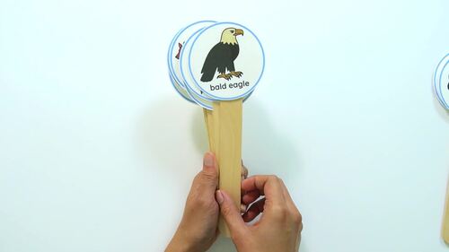 Panda Bear Panda Bear Activities | Circle Time Visuals | Story Props ...