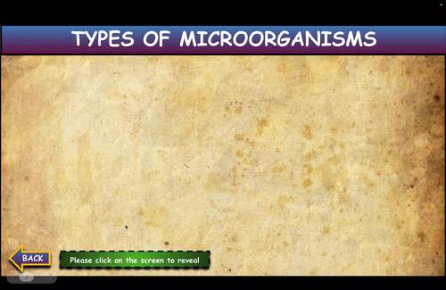 Types Of Microorganisms Lesson Bundle.Powerpoint.Reading Article.Worksheet.Test