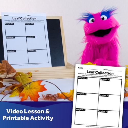 Preview of Leaf Collection - Video Lesson & Activity Download