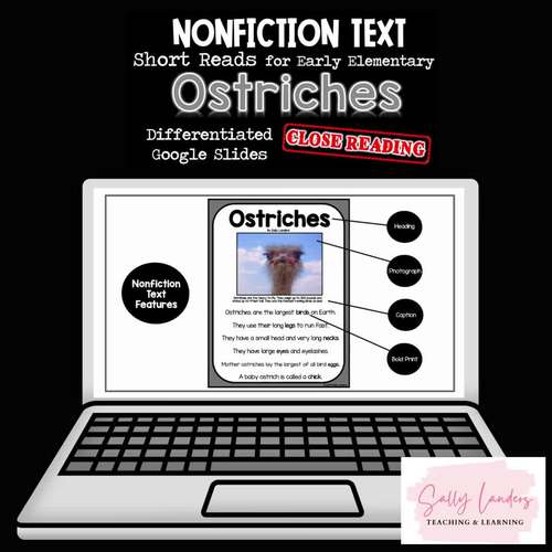 OSTRICHES Nonfiction CLOSE READING Print & Digital Pack by Sally Landers