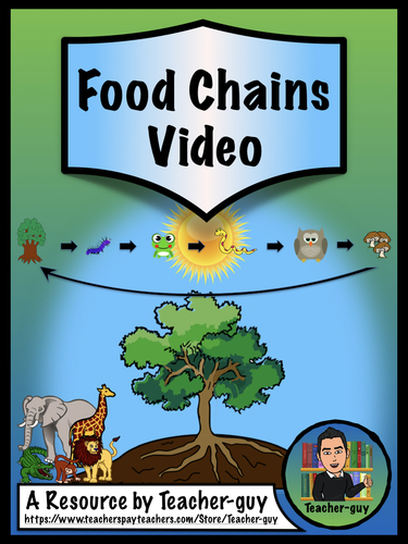 Food Chains by Teacher-guy | Teachers Pay Teachers