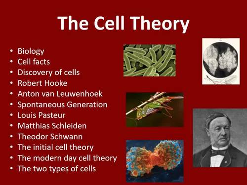 The Cell Theory Lesson - Biology PowerPoint Lesson And Student Notes ...