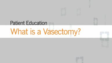 Sex and Recovery After a Vasectomy
