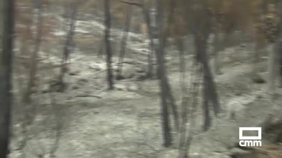 Loading video