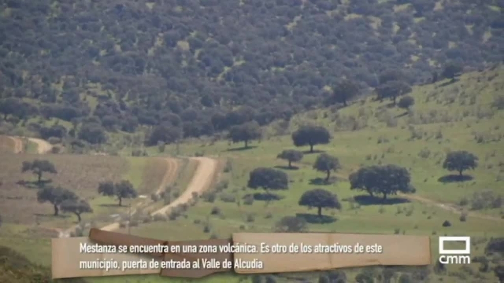 Loading video