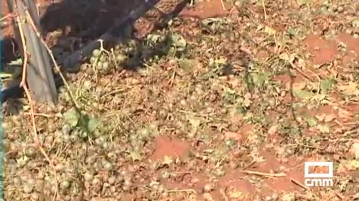 Loading video