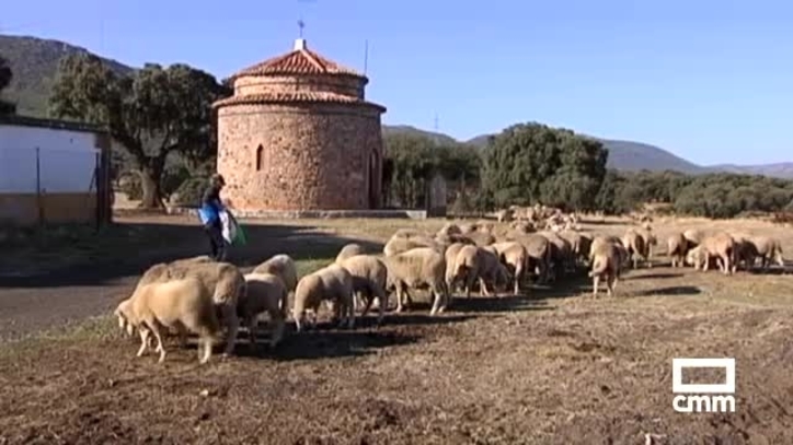 Loading video