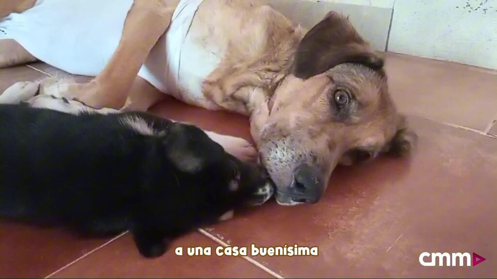 Loading video