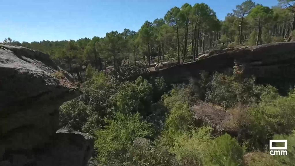 Loading video