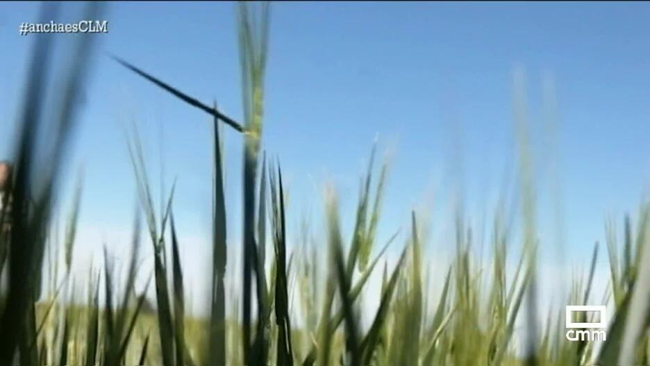 Loading video