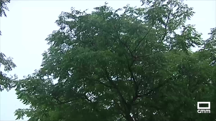 Loading video