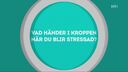 Kapitelbillede