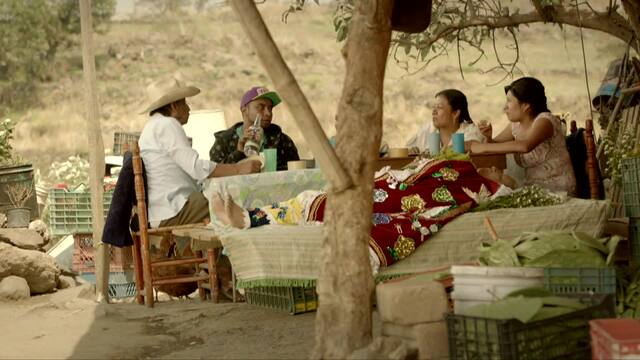 Crónica de Castas Canela TV