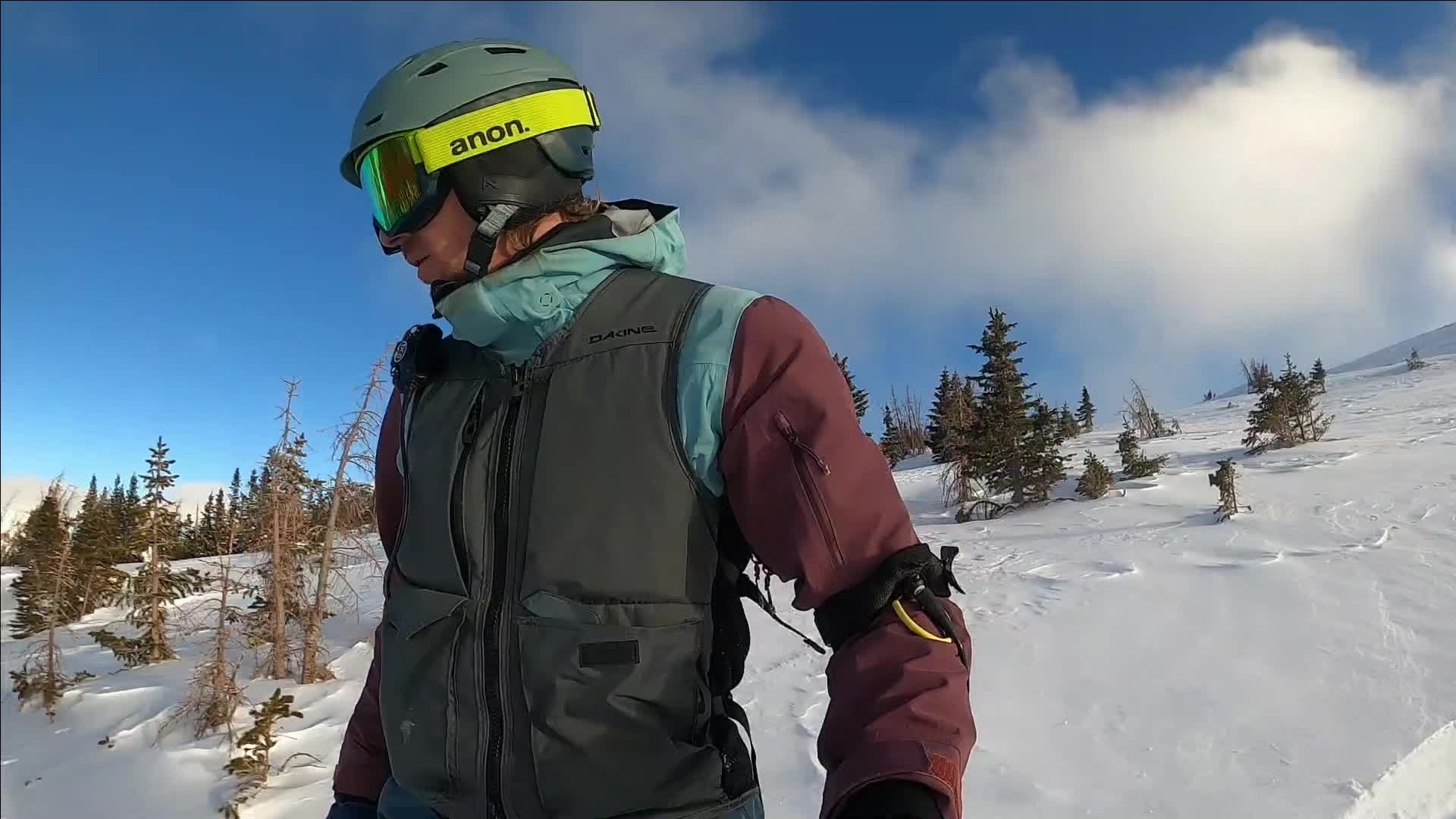 Burton Family Tree Backseat Driver Flat Top Snowboard Burton Family Tree Backseat Driver Flat Top Snowboard