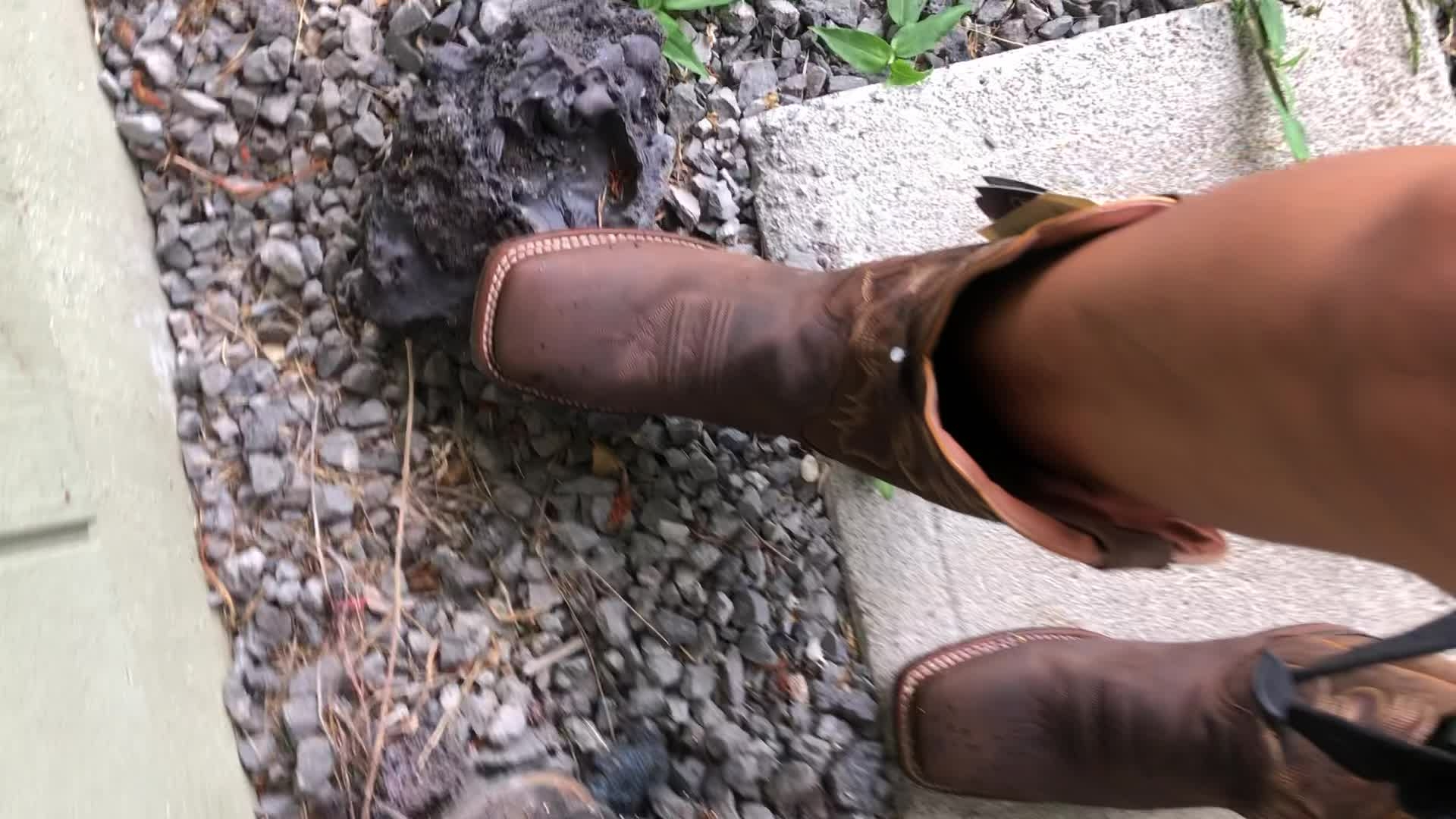 Dan post ankle boots hotsell