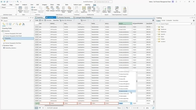 Contingent values in ArcGIS Pro - Esri Videos: GIS, Events, ArcGIS ...