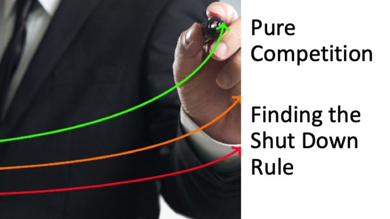 Perfect Competition - Finding The Shut Down Point.mp4 - Edutube