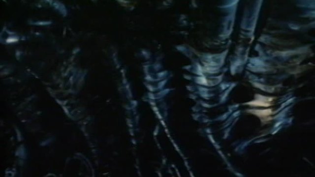 Alien Life Forms