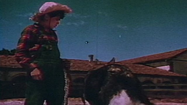 Lassie VS Rin Tin Tin