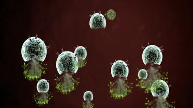 Immunology