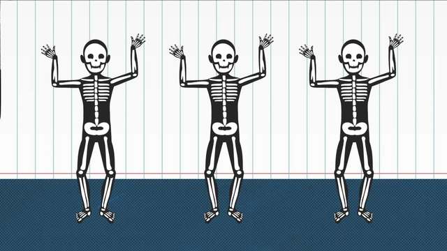 Bones and Fossils