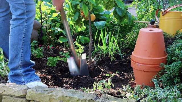 Exquisite garden