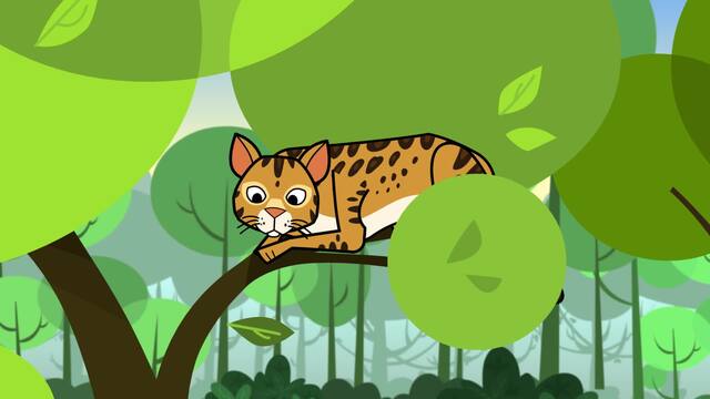 El caso de los gatos