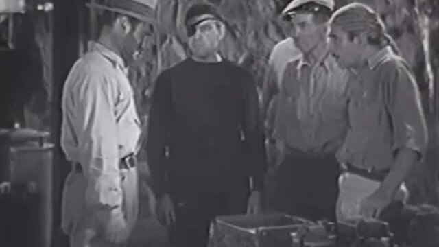 The Mark of the Tiger Shark