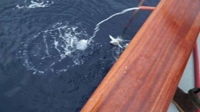 Sport Fishing Episode 21