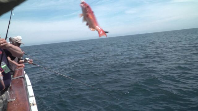 Sport Fishing Episode 36