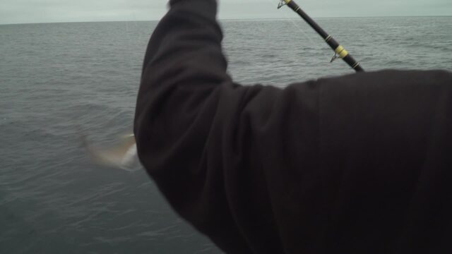 Sport Fishing Episode 7