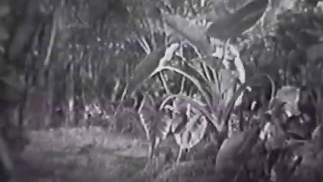 Siege of Halfway Island