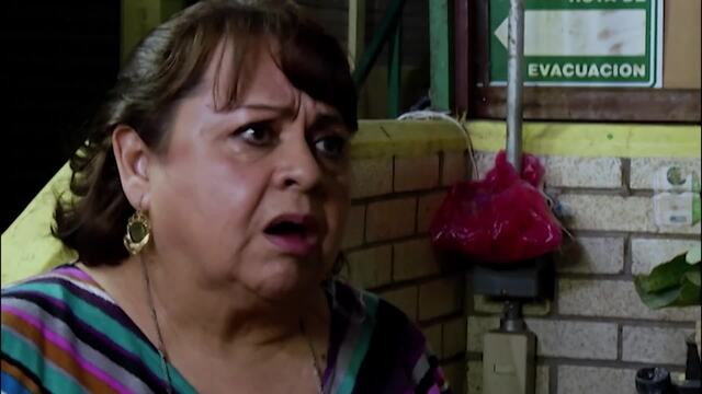 El Milagro De San Martín De Porres 