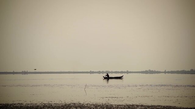 Camboya: El Misterio del Delfín de Río