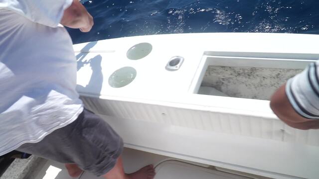 Sport Fishing Episode 26