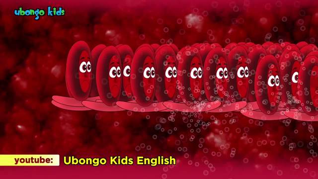 The Curious Blood Cell