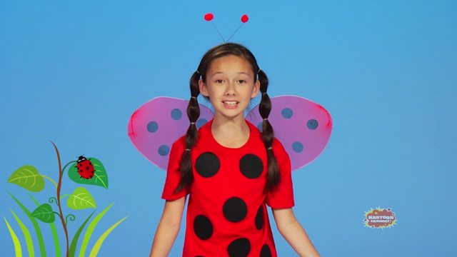 Ladybug, Ladybug
