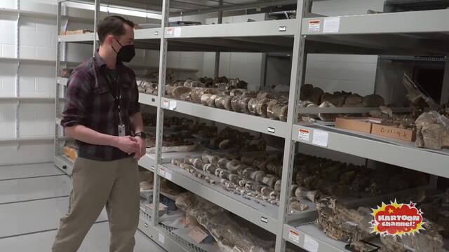 Paleontologists and Dinosaurs