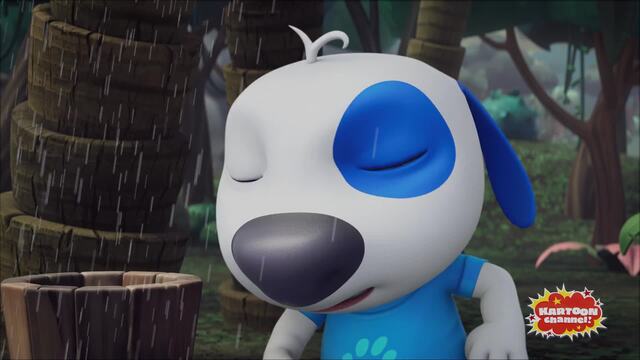 What To Do In The Rain