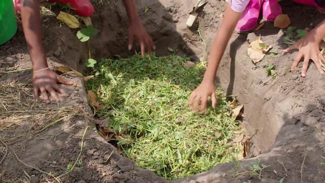 Soil Conservation