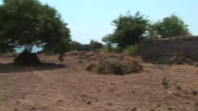Tanzania: Ruins of Kilwa Kisiwani and Ruins of Songo Mnara