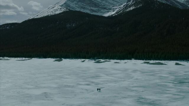 Apuesta contra el frío