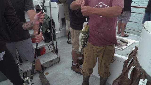 Sport Fishing Episode 23
