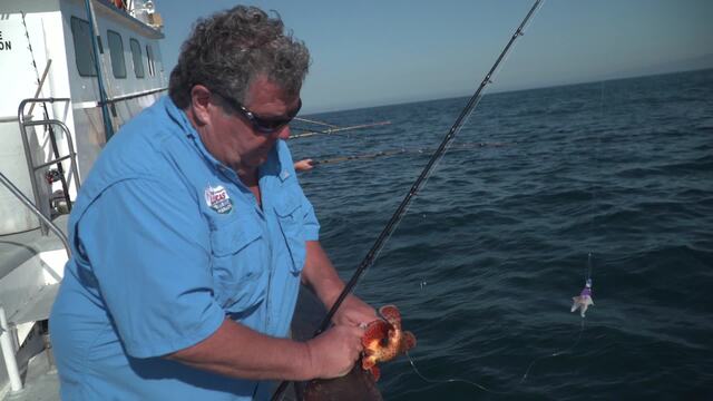 Sport Fishing Episode 24
