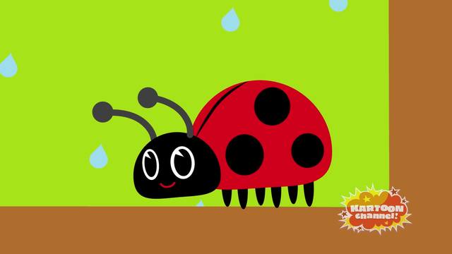 Ladybird